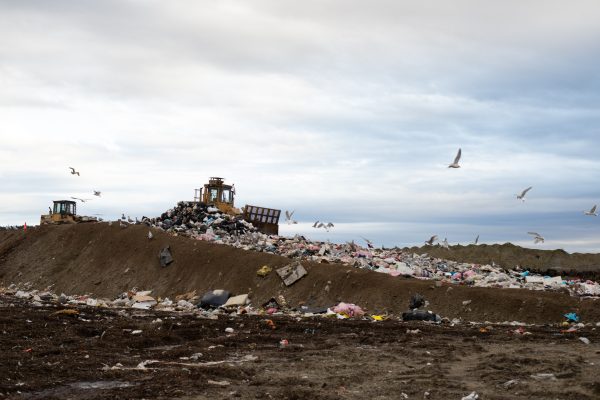 2024-Jan-30 Sechelt Landfill